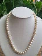 Single Layer Ivory colour Round Pearl Necklace with Tops