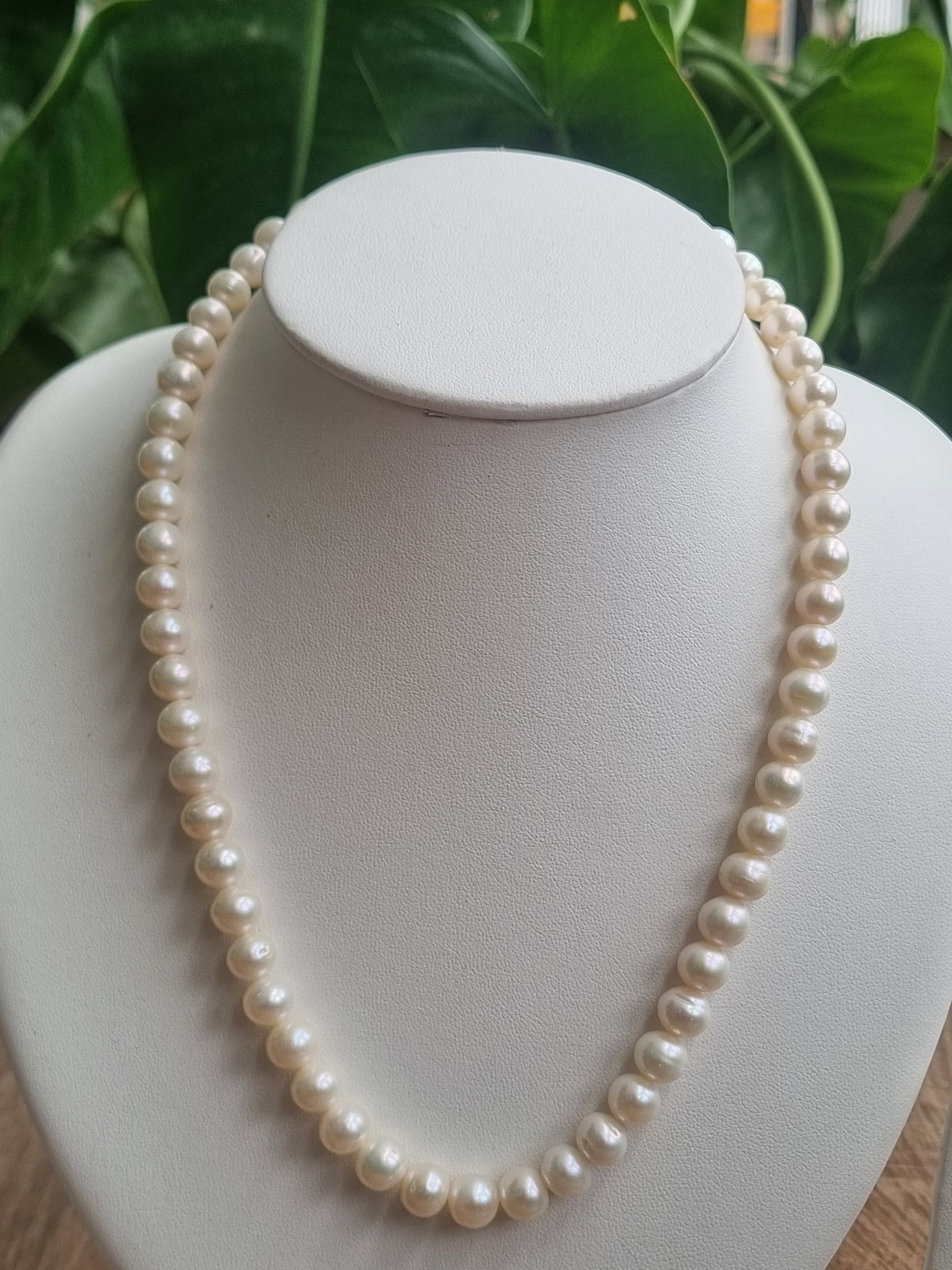 Single Layer Ivory colour Round Pearl Necklace with Tops